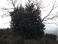 nte Ilice-20110120 038